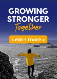 Merger Portlet